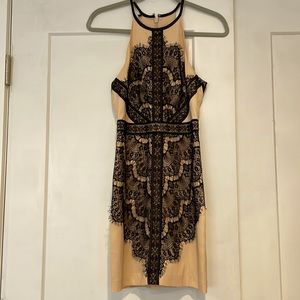 Bebe Champagne & Black Lace Minidress